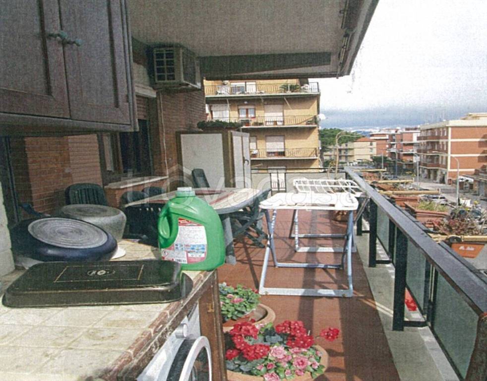 immagine annuncio 11 di 14