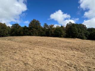 Terreno agricolo in vendita a trieste località gropada