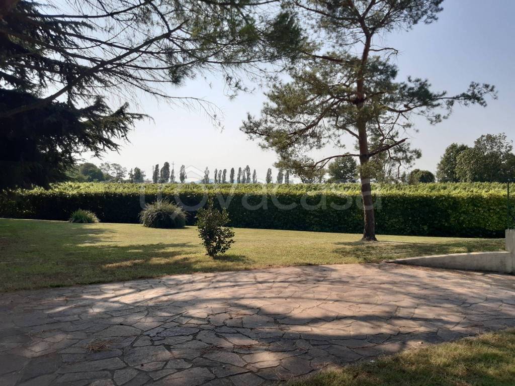 immagine annuncio 3 di 11