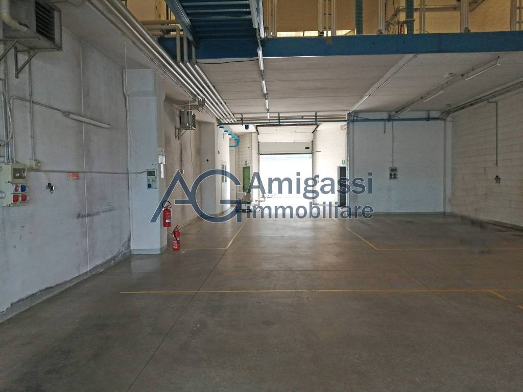 immagine annuncio 4 di 8