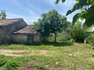 Terreno agricolo in vendita a cessaniti sp 12