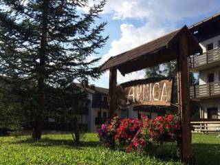 Appartamento in in vendita da privato a selva di cadore via santa fosca, 1