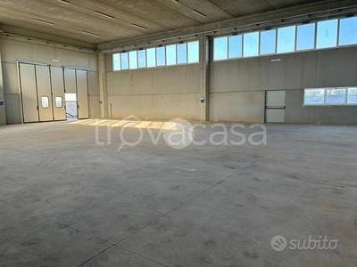 immagine annuncio 5 di 9