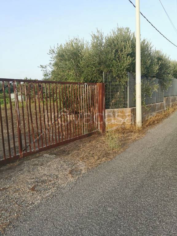 immagine annuncio 6 di 9