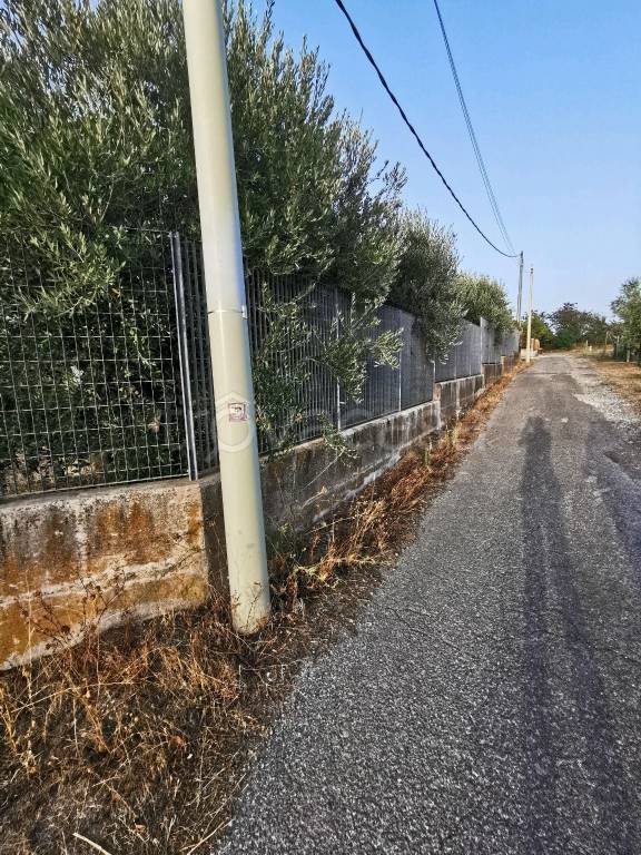 immagine annuncio 8 di 9