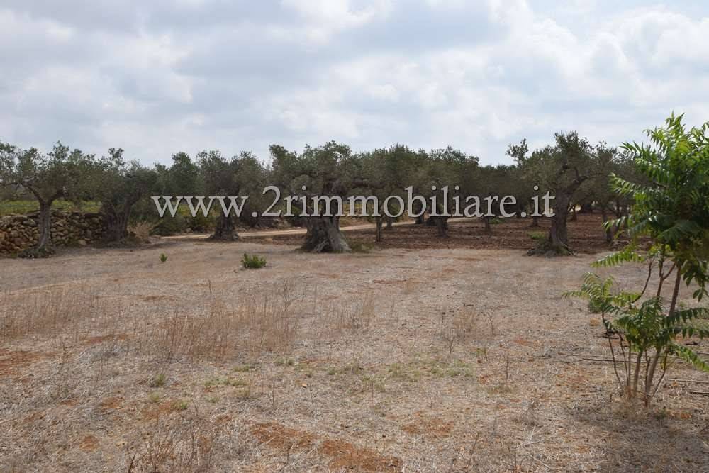 immagine annuncio 8 di 12