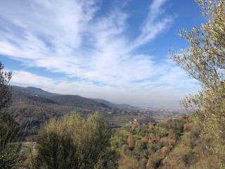 Terreno agricolo in vendita ad arezzo 