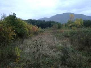 Terreno agricolo in vendita a broccostella via aurita