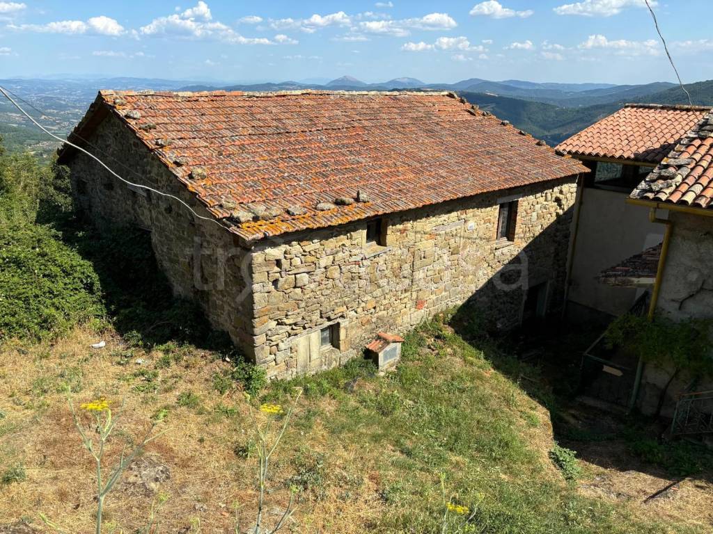 immagine annuncio 4 di 6