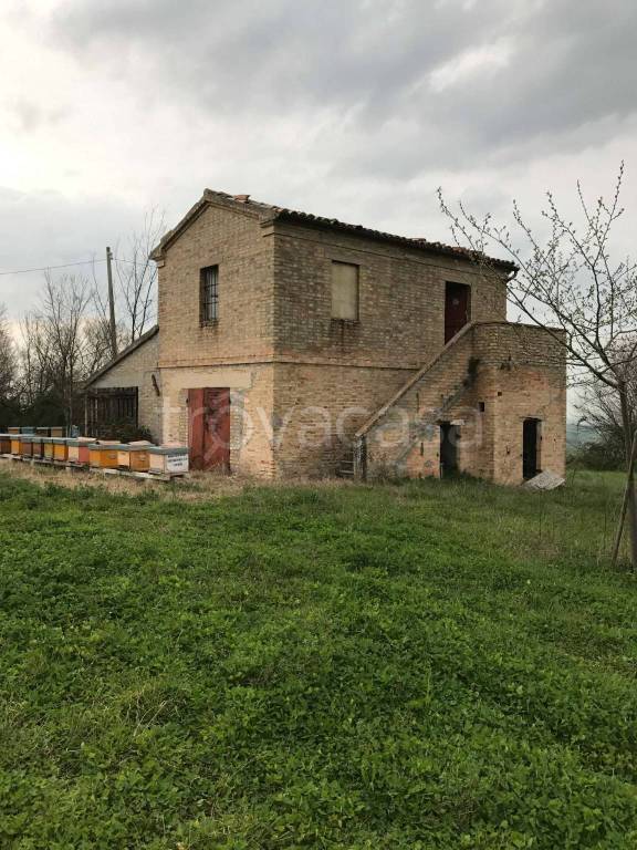immagine annuncio 3 di 8