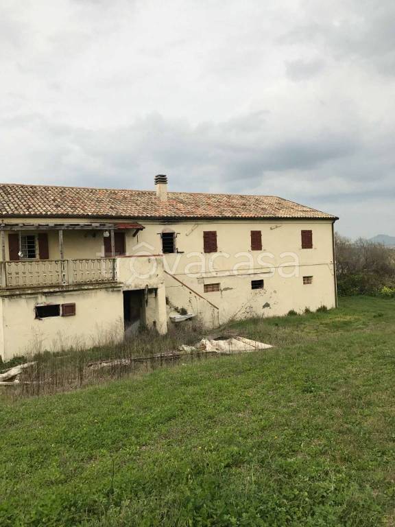 immagine annuncio 5 di 8