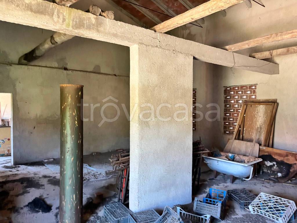 immagine annuncio 3 di 6