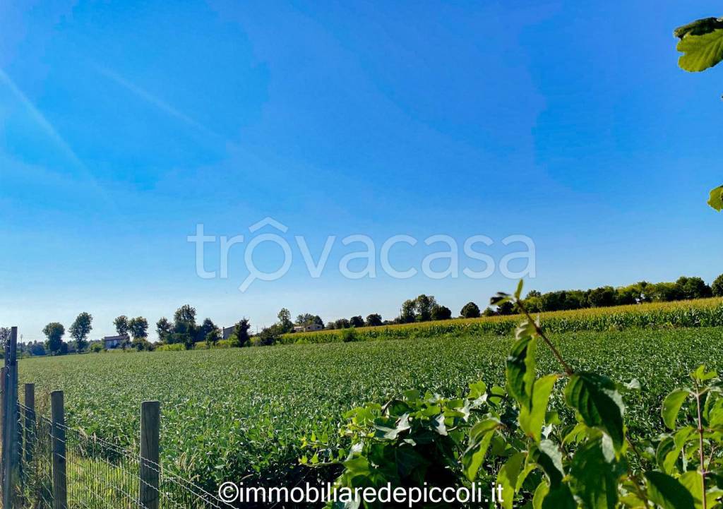 immagine annuncio 5 di 8