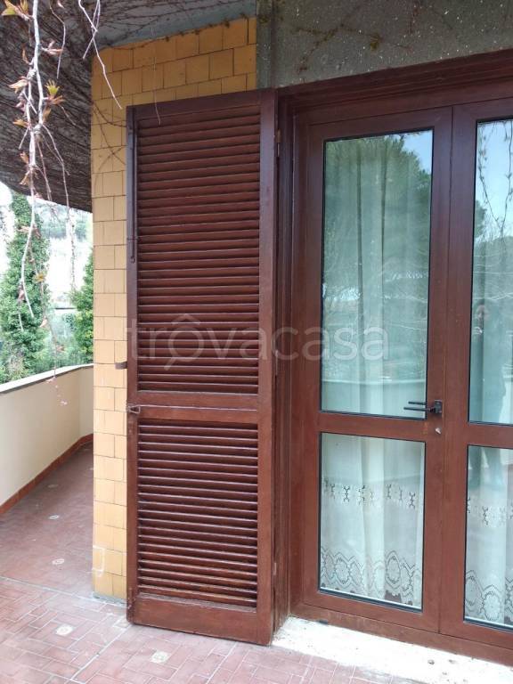 immagine annuncio 5 di 6