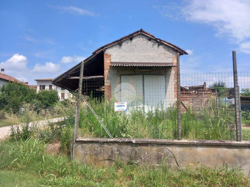 immagine annuncio 8 di 15