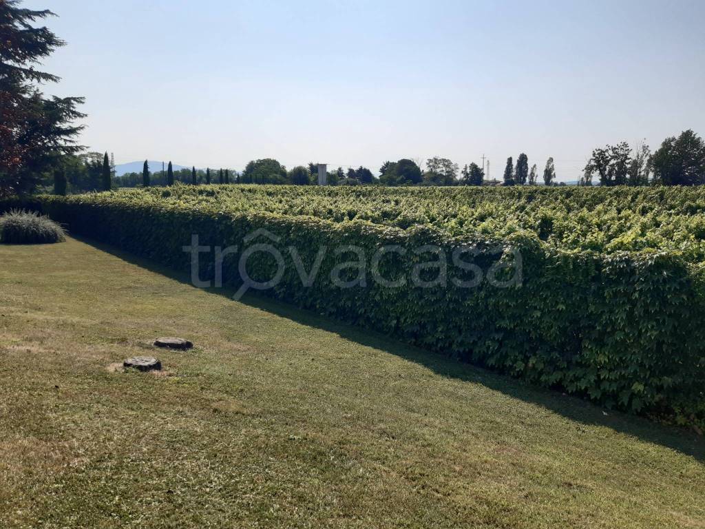 immagine annuncio 5 di 11