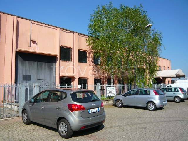 immagine annuncio 5 di 6
