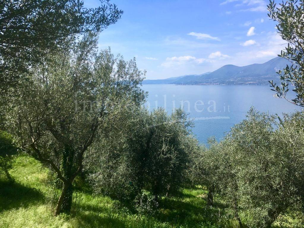 immagine annuncio 1 di 3