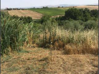 Terreno agricolo in vendita a san giorgio del sannio via cesine