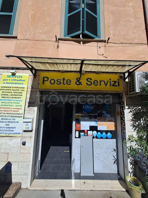immagine annuncio 5 di 6