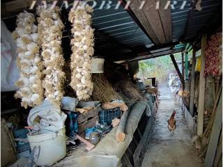 Terreno agricolo in vendita a san giovanni valdarno via borro della madonna