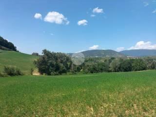 Terreno agricolo in vendita a tarano san filippo