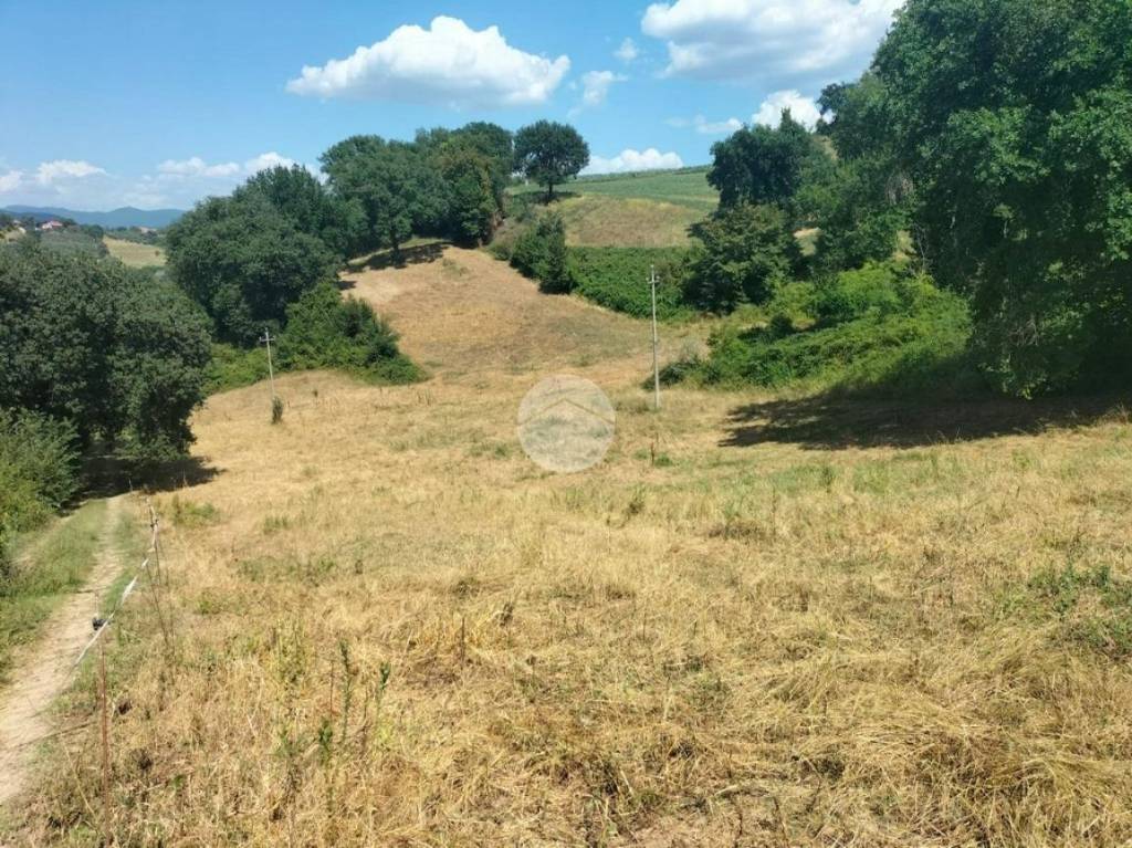 immagine annuncio 6 di 14