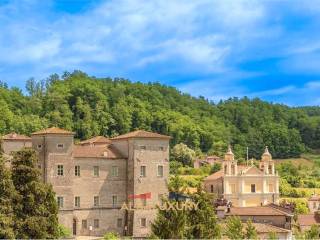 Castello in vendita a licciana nardi via del volto santo , 2