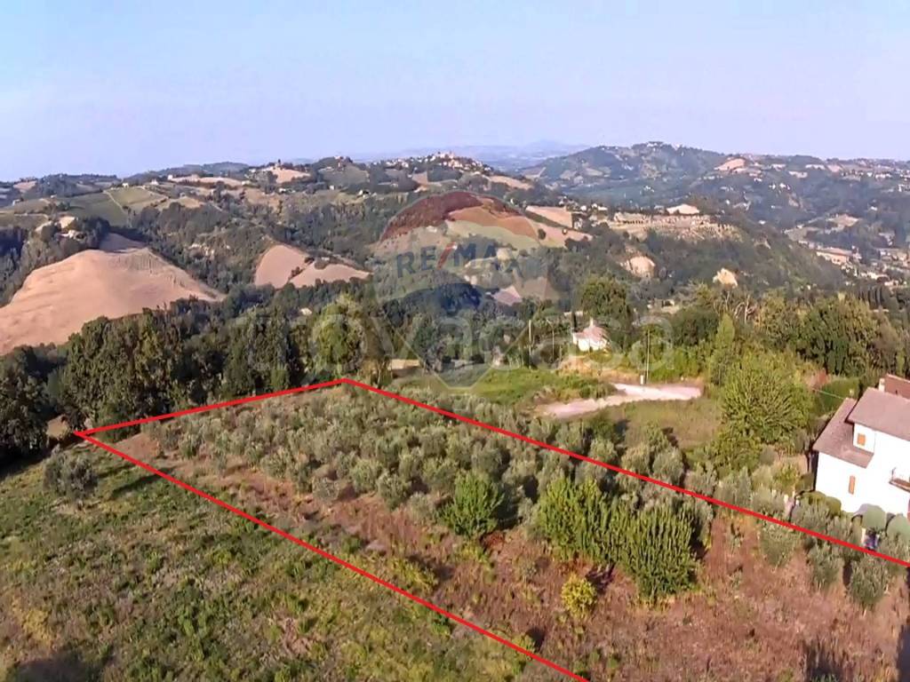 immagine annuncio 6 di 8