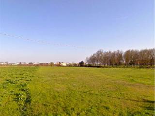 Terreno residenziale in vendita a occhiobello via palazzi