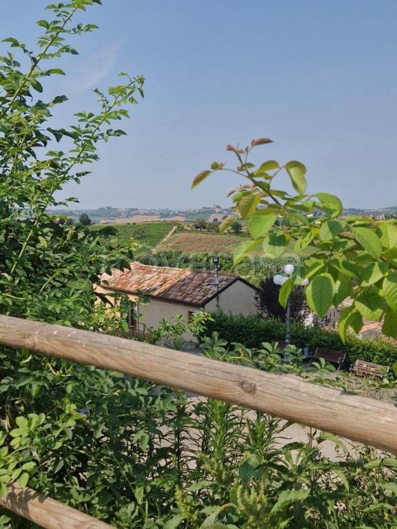 immagine annuncio 11 di 13