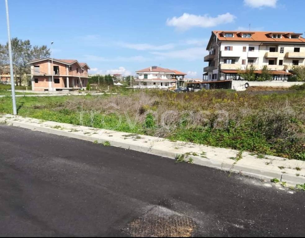 immagine annuncio 2 di 6