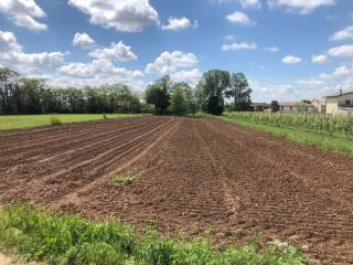 Terreno agricolo in affitto a volpago del montello via schiavonesca nuova, 112