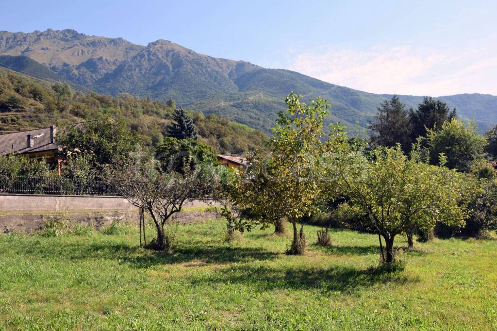 immagine annuncio 2 di 4