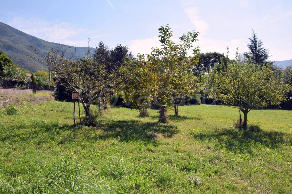 immagine annuncio 3 di 4