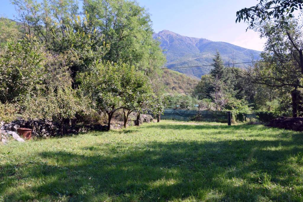 immagine annuncio 4 di 9