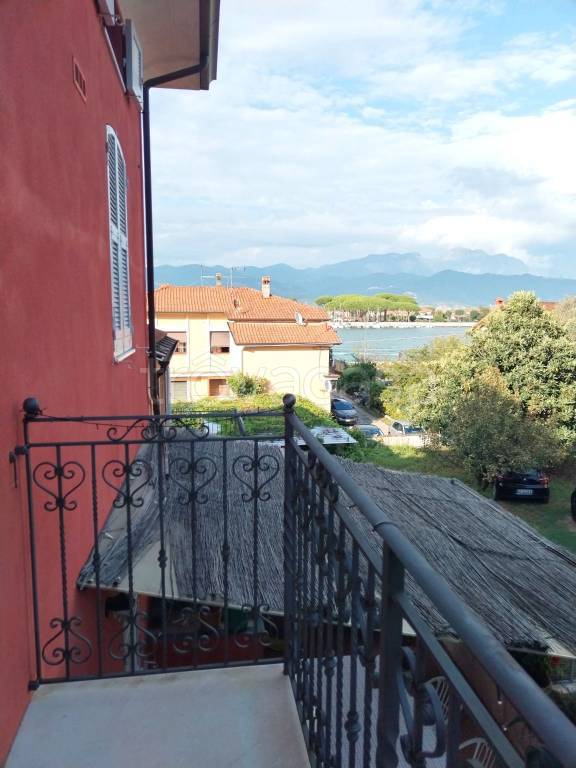 immagine annuncio 4 di 14