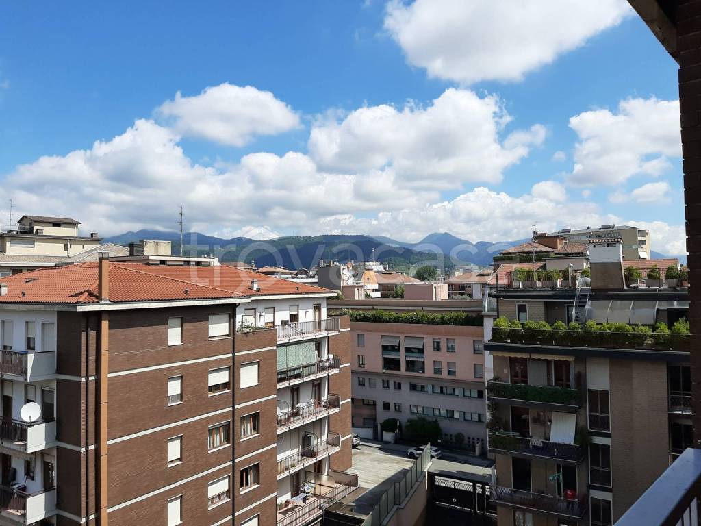 immagine annuncio 2 di 12