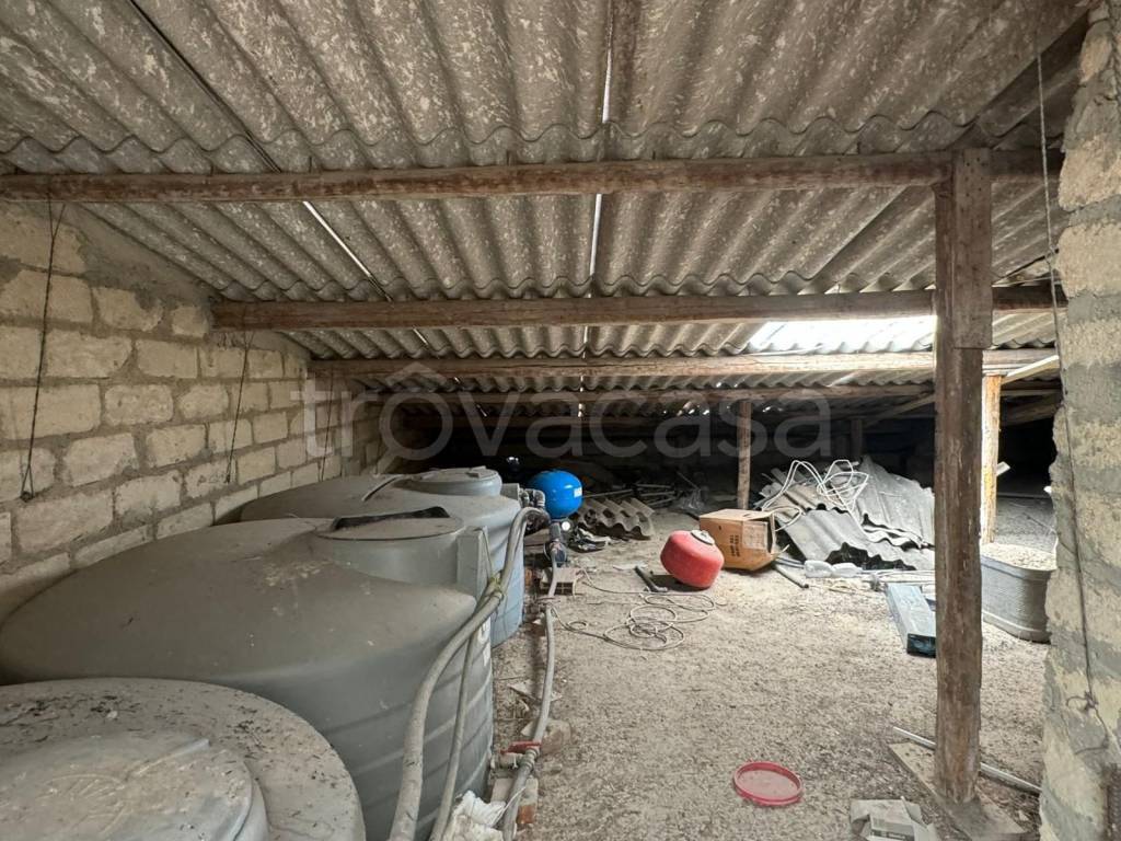 immagine annuncio 11 di 14