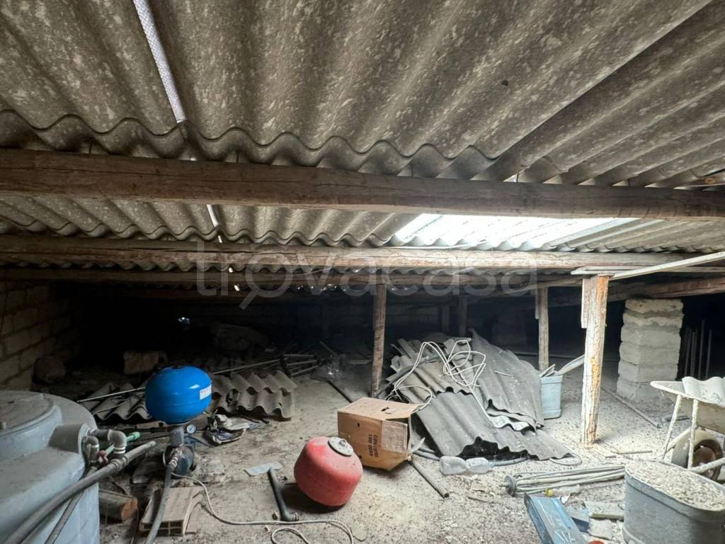 immagine annuncio 13 di 14