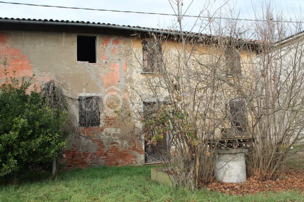 immagine annuncio 6 di 8
