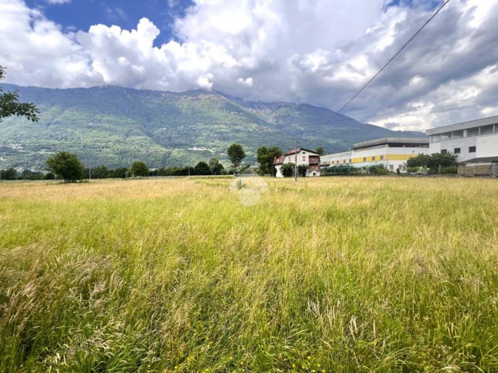 immagine annuncio 8 di 15