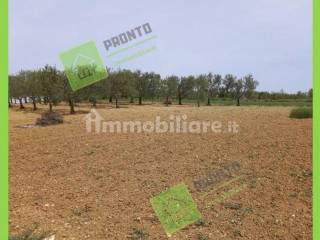 Terreno agricolo in vendita ad altamura via matera s.n.c.