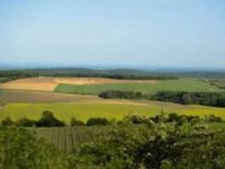 Terreno agricolo in vendita a cassano delle murge strada provinciale 145 s.n.c.