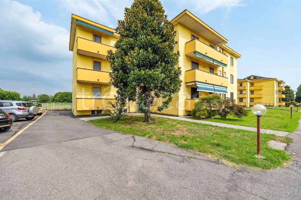 immagine annuncio 1 di 11