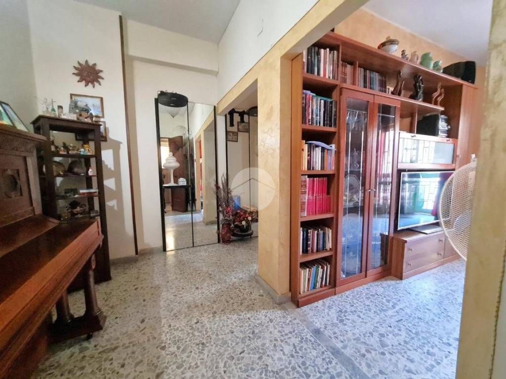 immagine annuncio 3 di 12
