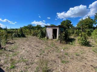 Terreno agricolo in vendita a palma campania 