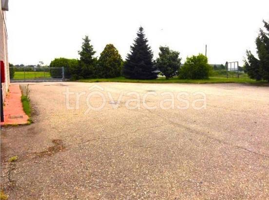 immagine annuncio 3 di 8