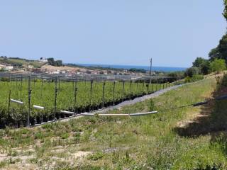 Casale in in vendita da privato a massignano contrada santa giuliana, snc