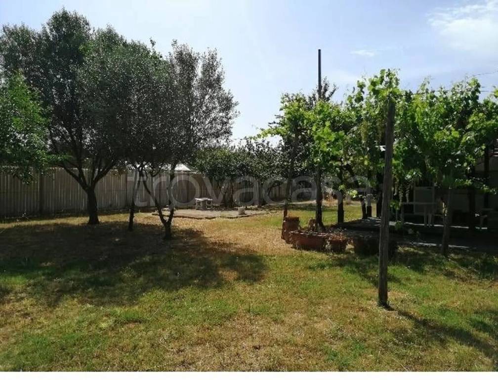 immagine annuncio 3 di 14